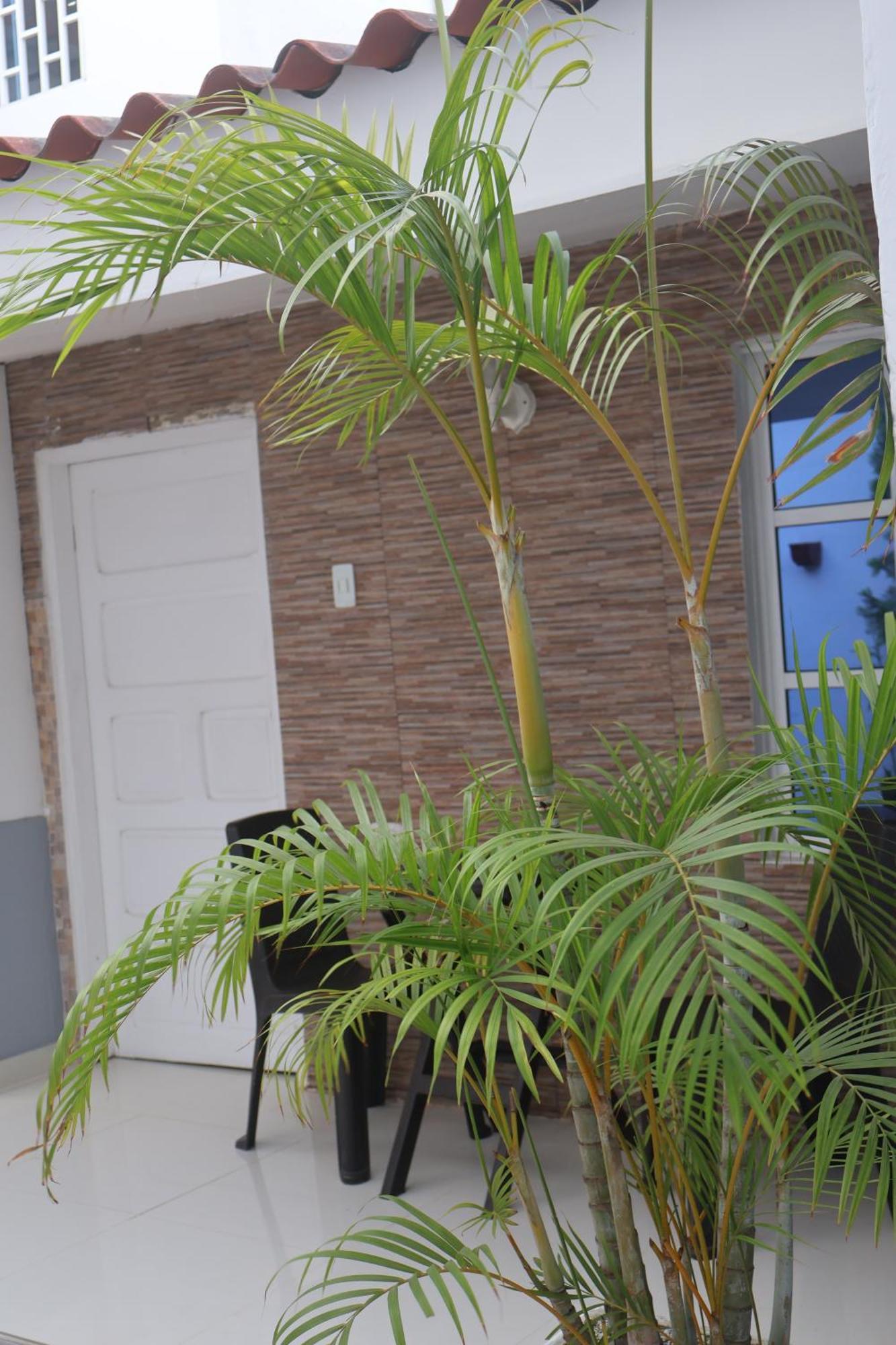 Casa #27-23 Homestay